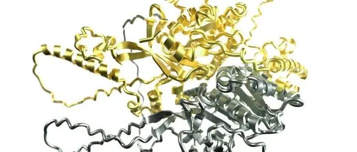 《Science》发布“2021年十大科学突破”  人工智能竟能预测蛋白质结构？
