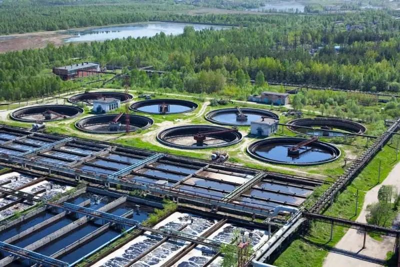 谁能成功“脱氮”？多方法全方位测评微生物菌群| 生物课题推荐