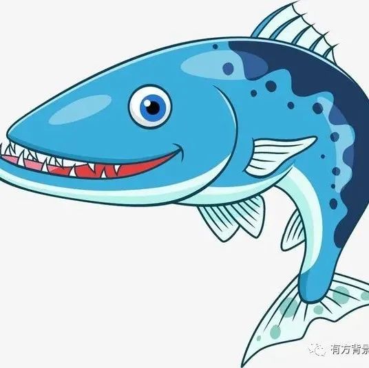懒人福音来了 ！ “无刺鱼”或将端上餐桌？华中农大找到控制鱼刺基因！