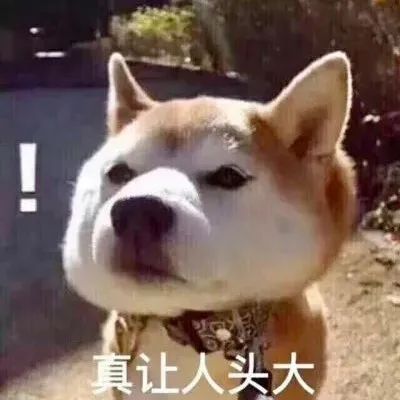 离谱！“哈耶普斯麻”有钱随便挑？留学新剧引众嘲但真有人照做了....