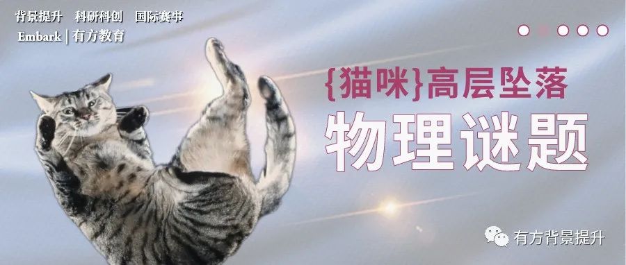 喵星人的空中转体到底有多特殊啊？