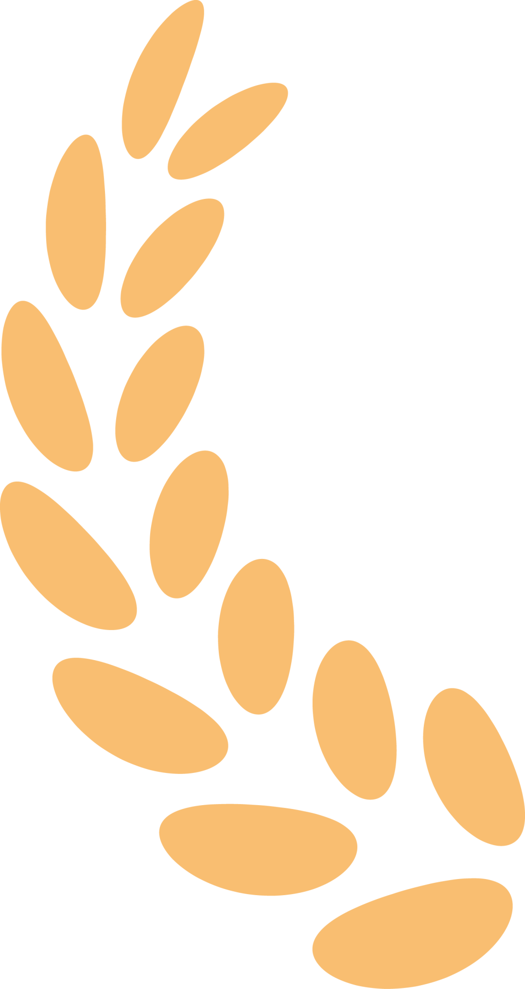 1755499585-2-1755499585